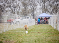 aDSC_0335