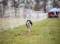 aDSC_0363