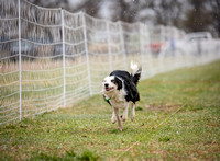 aDSC_0364