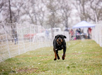aDSC_0398